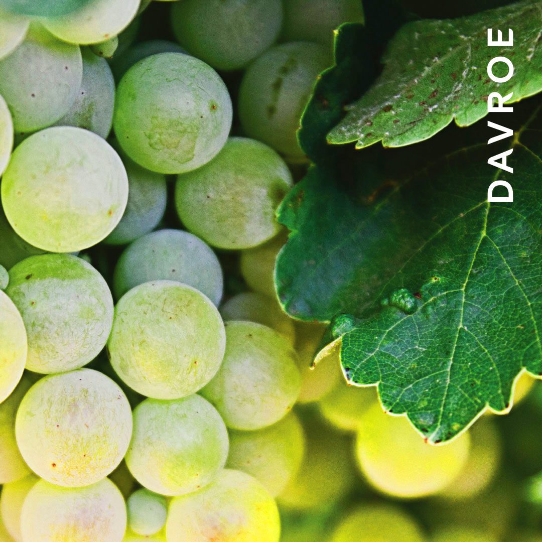 Ends Repair - Image 3