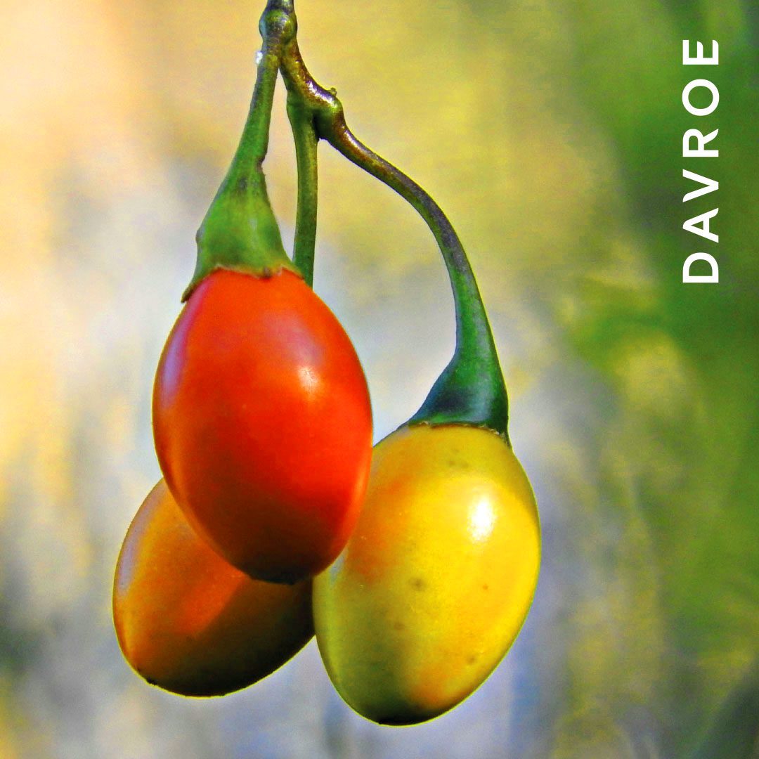 Murray River Sea Salt Spray - Image 3