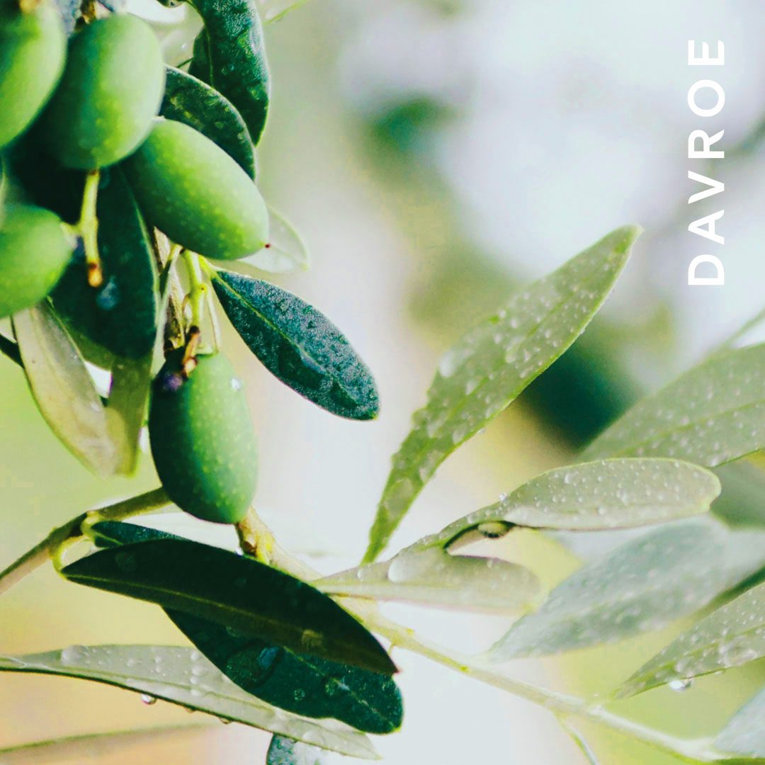 Ends Repair - Image 4